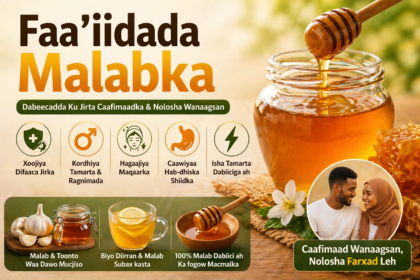 Faa'iidada Malabka