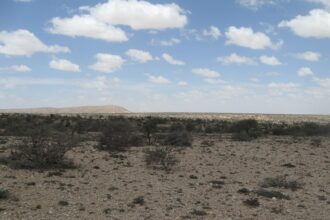 Sawir kayd ah: Somalia (Somaliland)(126)