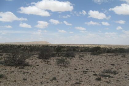 Sawir kayd ah: Somalia (Somaliland)(126)